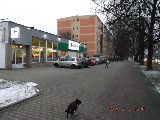 zdjęcie nr 7