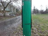 zdjęcie nr 7