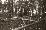 Park Szczęśliwicki. Na 