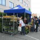 Dni Recyklingu 2015
