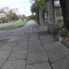 Fotka nr 5 z 7