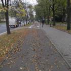 Przed pasami jak znalazł hamować 