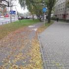 Hamować na zakręcie? 