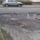 zdjęcie nr 8