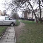 zdjęcie nr 10