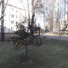 zdjęcie nr 7