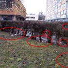 zdjęcie nr 33