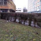 zdjęcie nr 52