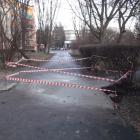 zdjęcie nr 11