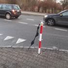 zdjęcie nr 7