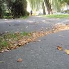 zdjęcie nr 8