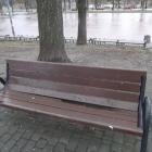 Fotka nr 2 z 7