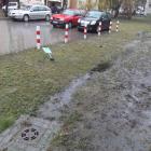 zdjęcie nr 8