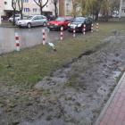 zdjęcie nr 10