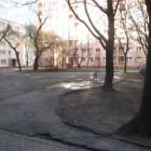 zdjęcie nr 11