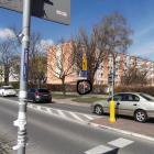 Fotka nr 5 z 14