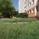 zdjęcie nr 14