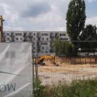 Obuduje się drzewo i będzie niby zielono