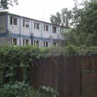 Bujna zieleń