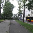 zdjęcie nr 17