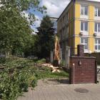 zdjęcie nr 21