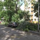 zdjęcie nr 26