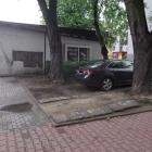 Kierowca ekolog