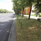 zdjęcie nr 13