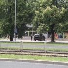 zdjęcie nr 14