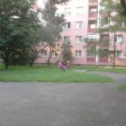 zdjęcie nr 7