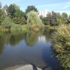 Piękny widok 