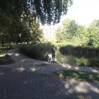 zdjęcie nr 8