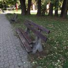 zdjęcie nr 9