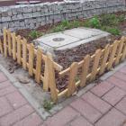 zdjęcie nr 11