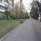 Fotka nr 4 z 9