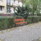 Fotka nr 5 z 9
