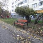 zdjęcie nr 8