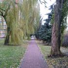 Widok na piękną aleję 