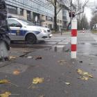 zdjęcie nr 7