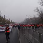 zdjęcie nr 40