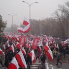 zdjęcie nr 50