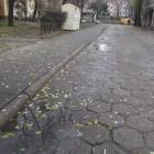 Fotka nr 3 z 31