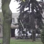 zdjęcie nr 26