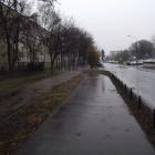 zdjęcie nr 14