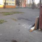 zdjęcie nr 9