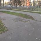 zdjęcie nr 13