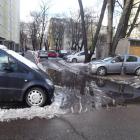 Fotka nr 2 z 7