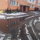 Fotka nr 5 z 7