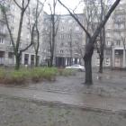zdjęcie nr 10