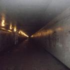 zdjęcie nr 22